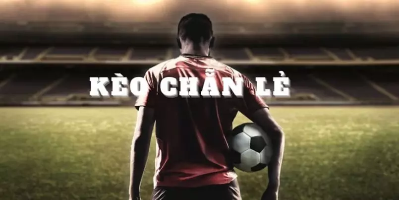 keo chan le la gi 2 Hướng Dẫn Đặt Cược Kèo Chẵn Lẻ