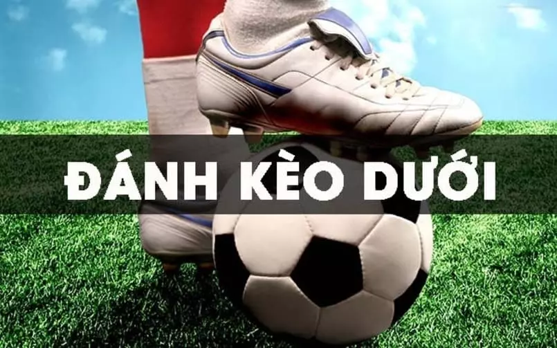 keo duoi la gi 1 hướng dẫn đánh kèo dưới