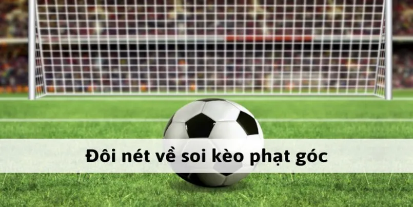 giới thiệu kèo phạt góc cho người mới chơi
