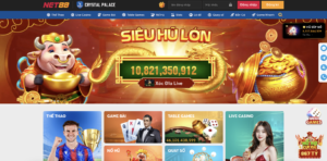 Giới thiệu tổng quan về trang cá độ bóng đá uy tín Net88