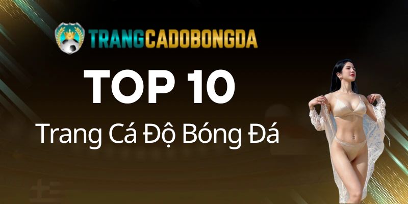 trang cá độ bóng đá